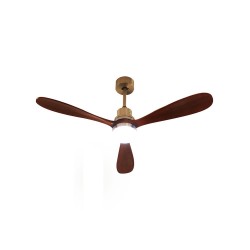 Ventilateur plafonnier avec lampe intégrée - 75W