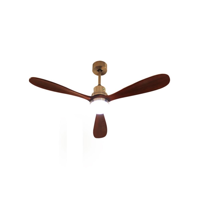 Ventilateur plafonnier avec lampe intégrée - 75W