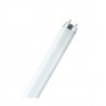 Tube fluorescent T8 36W