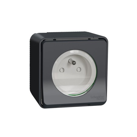 Prise de courant en saillie 2P+T gris Mureva