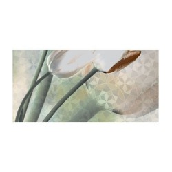 Carrelage mural Emilia pink decor 30*60 HL-01A+HL-01B (1tab de 2pcs) | Sanifer