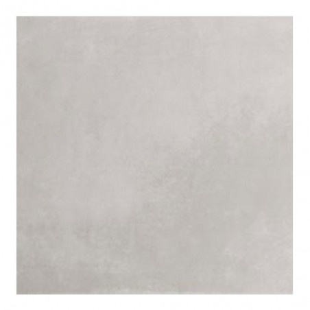 Carrelage mural20x60cmEs essen ash