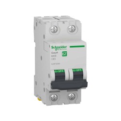 Disj 2P 4500 A C 16A