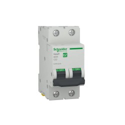 Disj 2P 4500 A C 32A