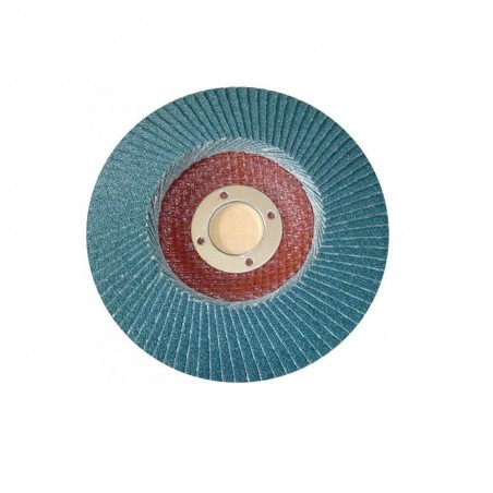 Disque à lamelles gros grains Ø125 mm