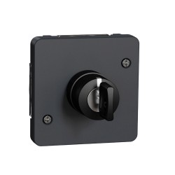 Interrupteur clé 3 compos gris MUREVA