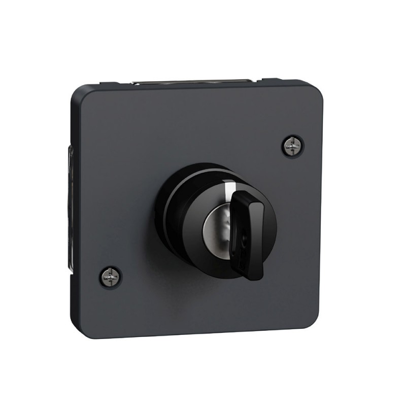 Interrupteur clé 3 compos gris MUREVA