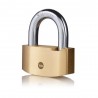 Cadenas sécurité Hammer 80 laiton anse avec YE2 Yale uc6