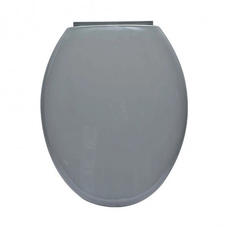 Abattant WC Gris foncé frein de chute PP 18 declipsable uc4