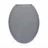 Abattant WC Gris foncé frein de chute PP 18 declipsable uc4