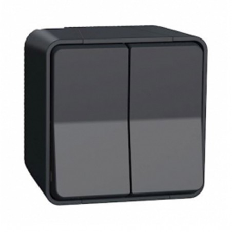 Interrupteur double va-et-vient saillie gris MUREVA