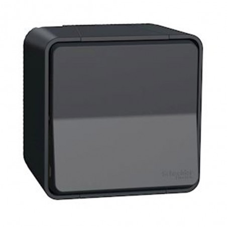 Interrupteurbouton poussoir saillie gris MUREVA