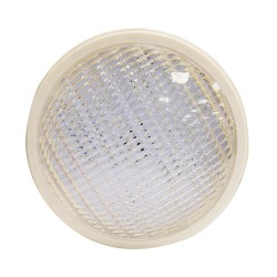 Ampoule Led blanche 12V 12W