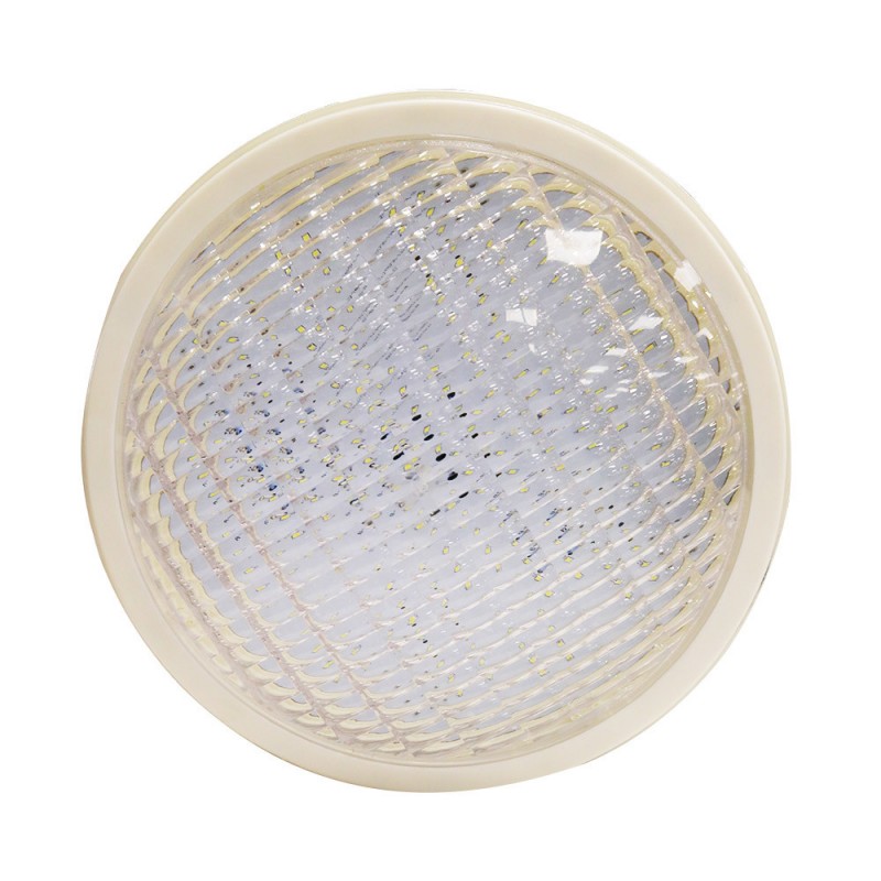 Ampoule Led blanche 12V 12W