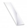 Cornière 20x30mm 1M PVC blanc uc5