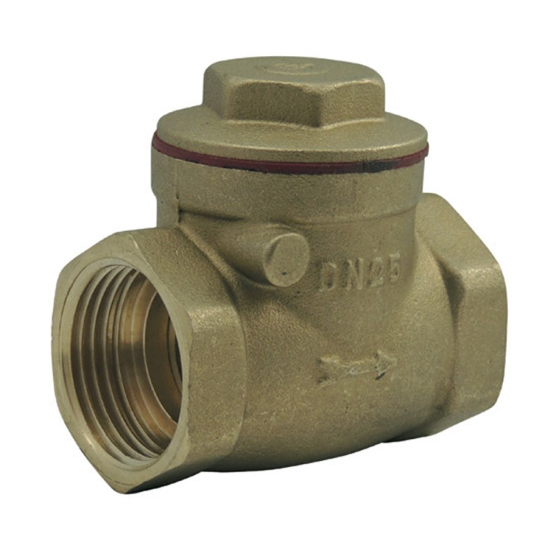 Clapet anti retour battant 21-2*