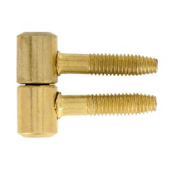 Fiche à visser D13 acier laitonné x2