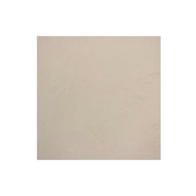 Carrelage sol60X60cm B06GARDS - WHO.M0F