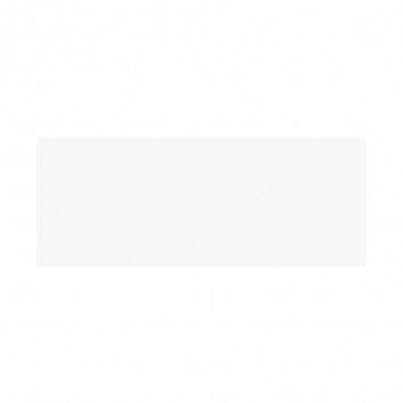 Carrelage mural20x60cmBlanco brillo