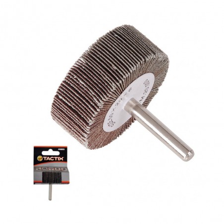 Disque abrasif 50x20mm lamelle gr80*