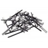 Lot de 50 Rivets Aluminium Diam.4.8 X H.14 Mm Rapid