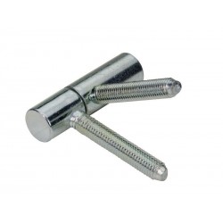 Lot de 2 fiches à visser en acier zingué H.55 X L.15 Mm