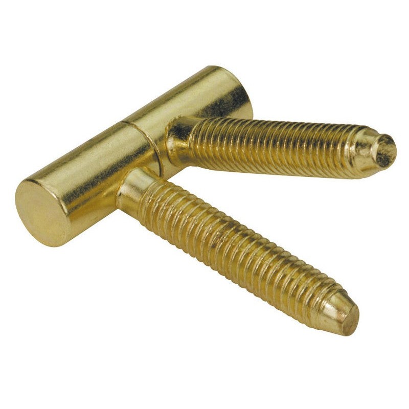 Lot de 2 Fiches à Visser Hettich Acier Zingué H.39 X L.13 Mm