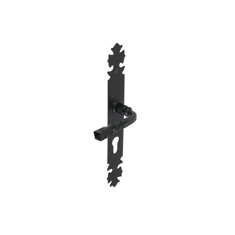 P50 Poignée De Porte Bourgogne Trou De Cylindre Inspire Fer 195 Mm