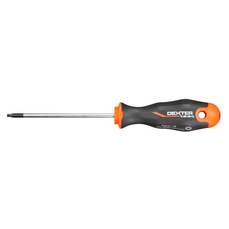 Tournevis Torx T15 L.100 Mm Dexter Pro
