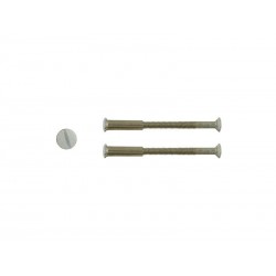 Lot de 2 vis acier laqué L.4.5 X L.0.7