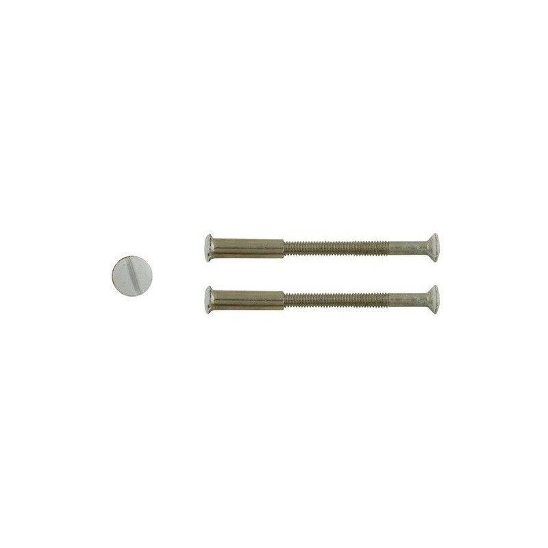 Lot de 2 vis acier laqué L.4.5 X L.0.7