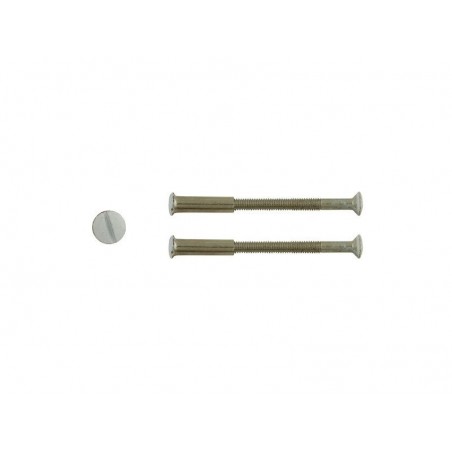 Lot de 2 vis acier laqué L.4.5 X L.0.7