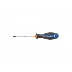 Tournevis Torx T10 L.80 Mm Dexter