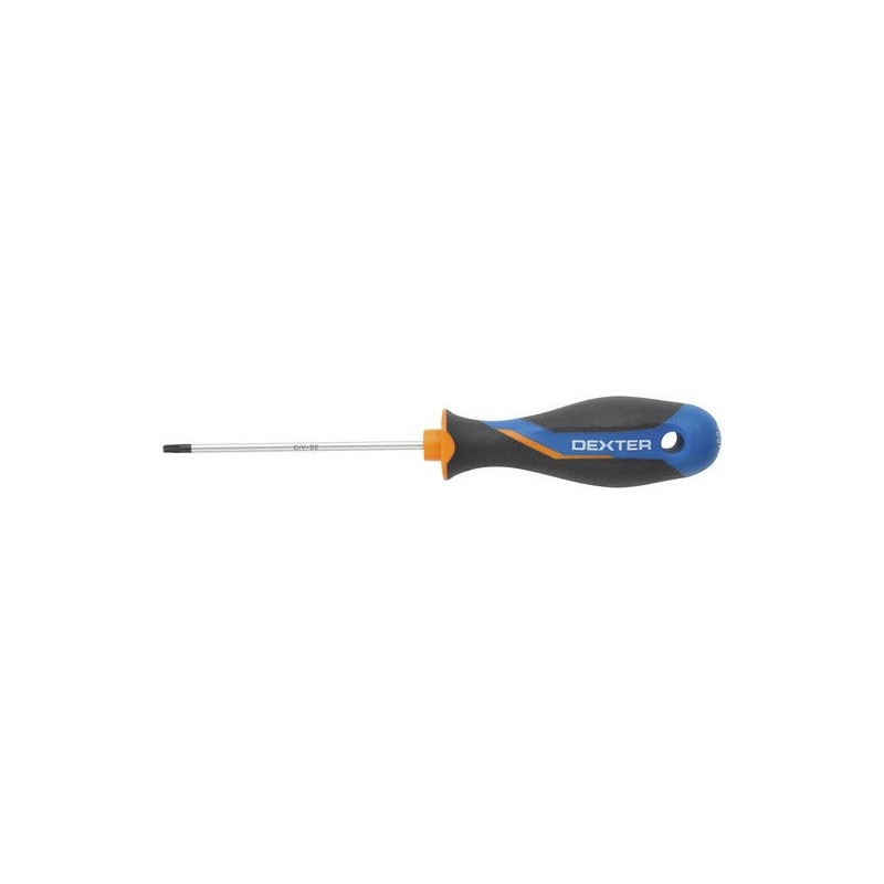 Tournevis Torx T10 L.80 Mm Dexter