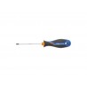 Tournevis Torx T10 L.80 Mm Dexter