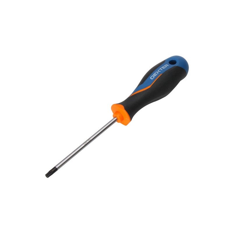 Tournevis Tamper Torx Tt25 L.100 Mm Dexter