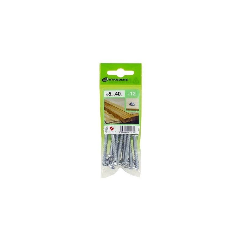 Lot de 12 Vis Acier Tête Ronde Standers Diam.5 Mm X L.40 Mm