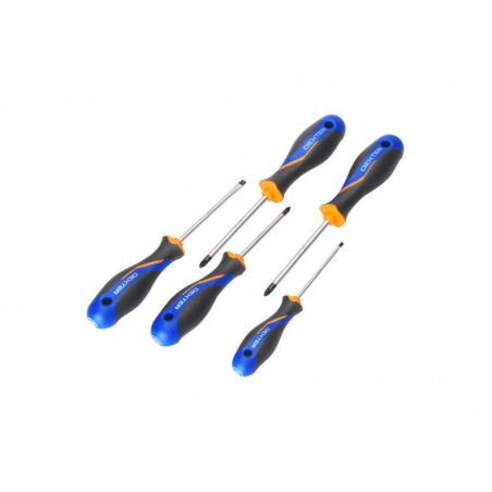 Jeu de 5 tournevis mixtes