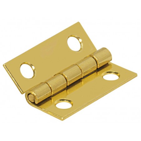 Lot de 2 Charnières Universelles Laiton Pour Meuble L.38 X L.25 Mm