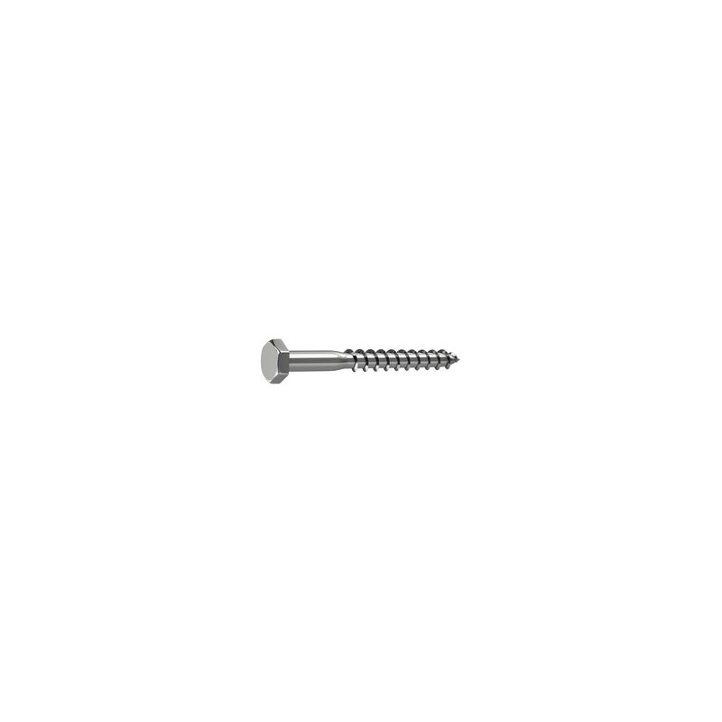 Lot de 10 Tirefond Inox Tête 6 Pans Standers Diam.6 Mm X L.30 Mm