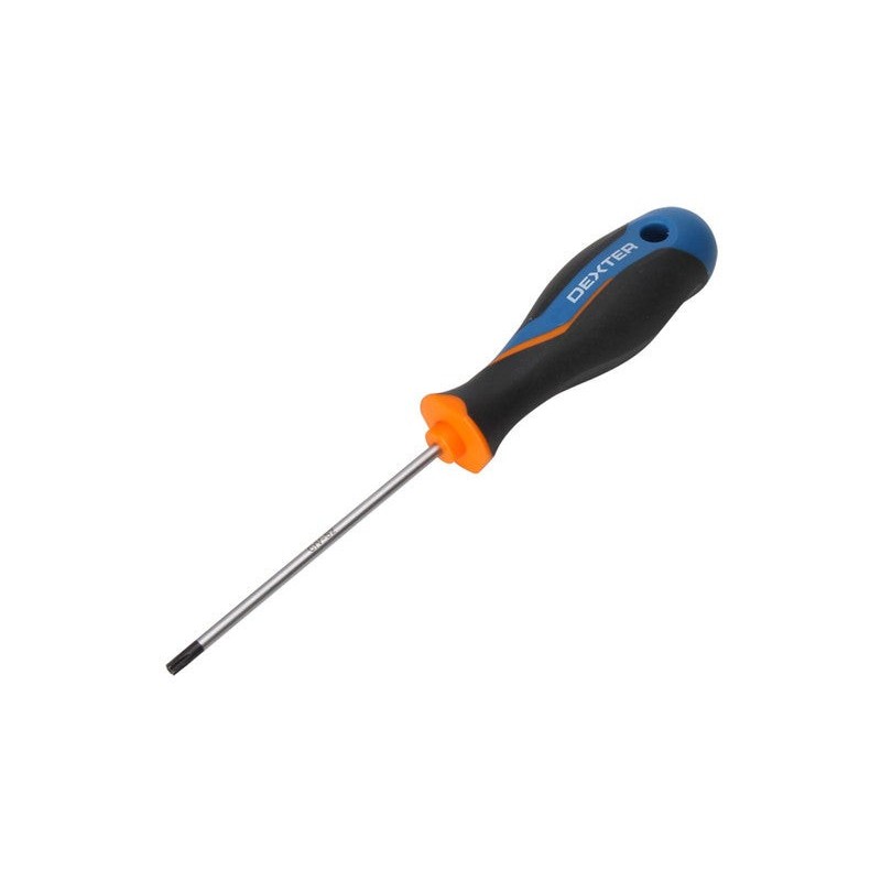 Tournevis Tamper Torx Tt20 L.100 Mm Dexter