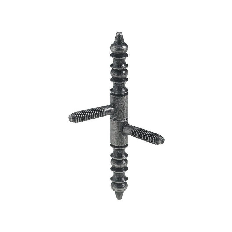 Lot de 2 Fiches à Visser Hettich Acier Vieilli H.66 X L.9 Mm