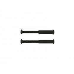 Lot de 2 Vis Acier PatinÃ© L.4.5 X L.0.7