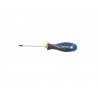 Tournevis Torx T25 L.100 Mm Dexter