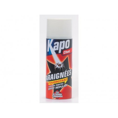Insecticide Peinture aérosol Araignées Kapo