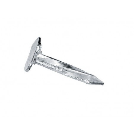 Clous spécial toitures acier tête plate large Diam.3 X L.16 Mm
