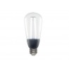 Ampoule décorative led blanc edison E27 40 W LEXMAN