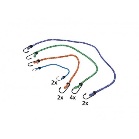 Lot de 10 sandows de différentes longueurs STANDERS