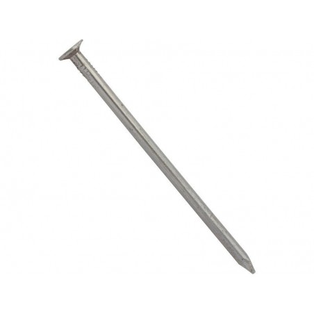 Clous Acier Standers T?te Plate Diam.4.5 X L.100 Mm