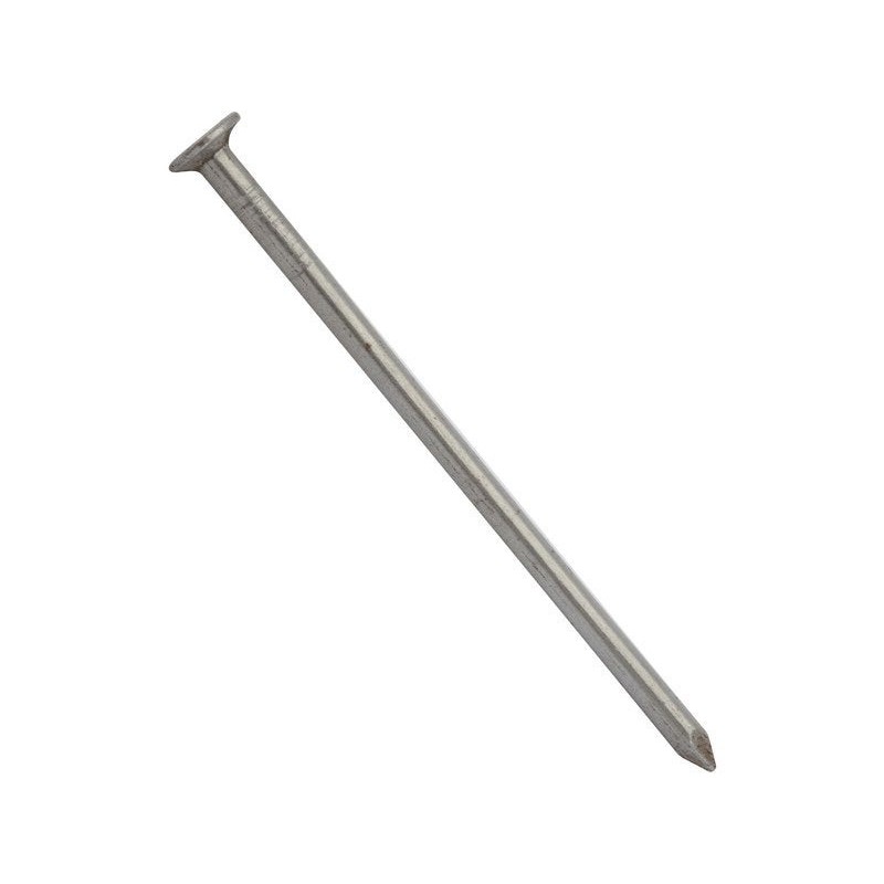 Clous Acier Standers Tête Plate Diam.2.8 X L.60 Mm